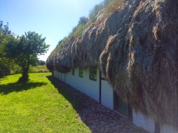 Lej tanghus på Læsø, her den gamle have med morgensol